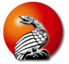 European Regional Master's Degree in Democracy and Human Rights in South East Europe 